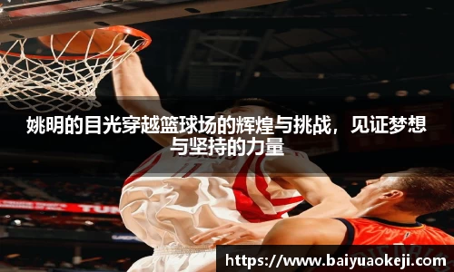 55世纪官网